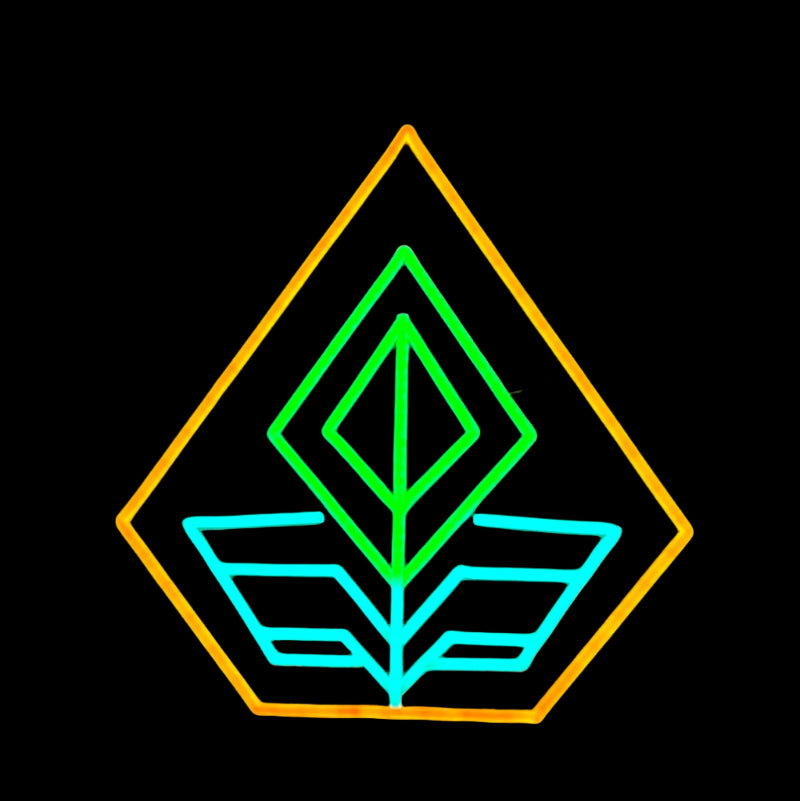 inner bloom geometric neon sign
