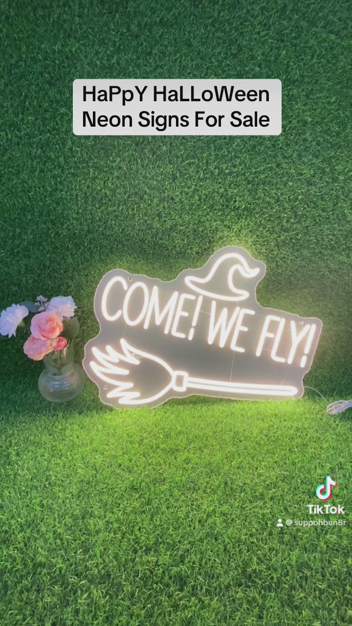 come! we fly! neon sign