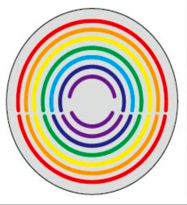 Rainbow Soul Circle Neon Sign